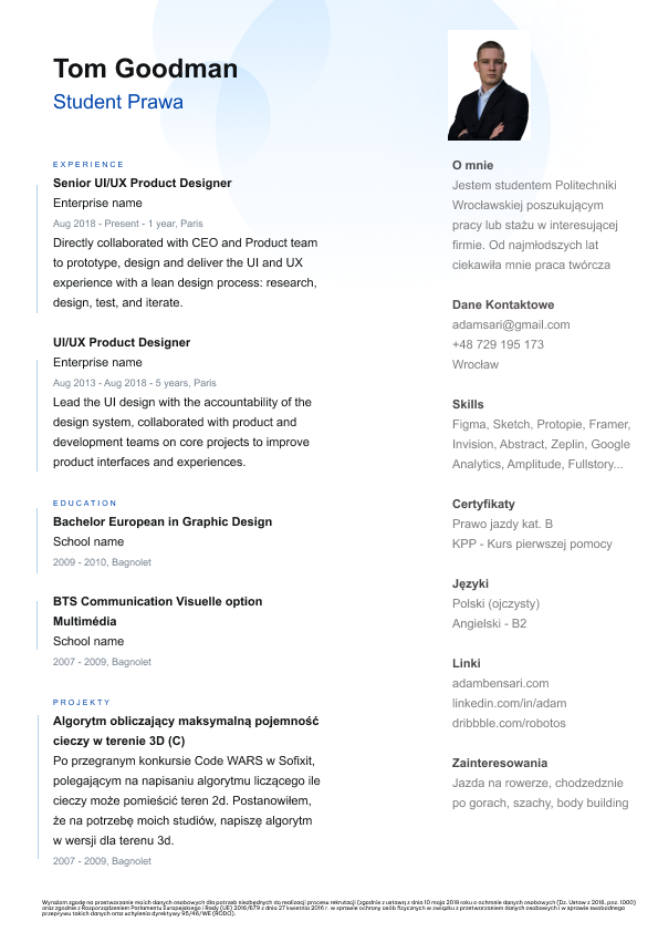Professional Modern CV template